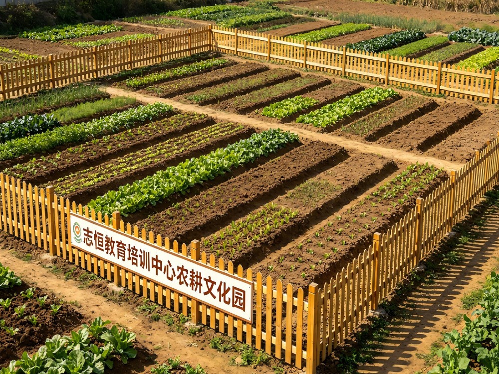 娄底叛逆孩子管教学校怎么选?从办学内核看志恒教育的实际价值